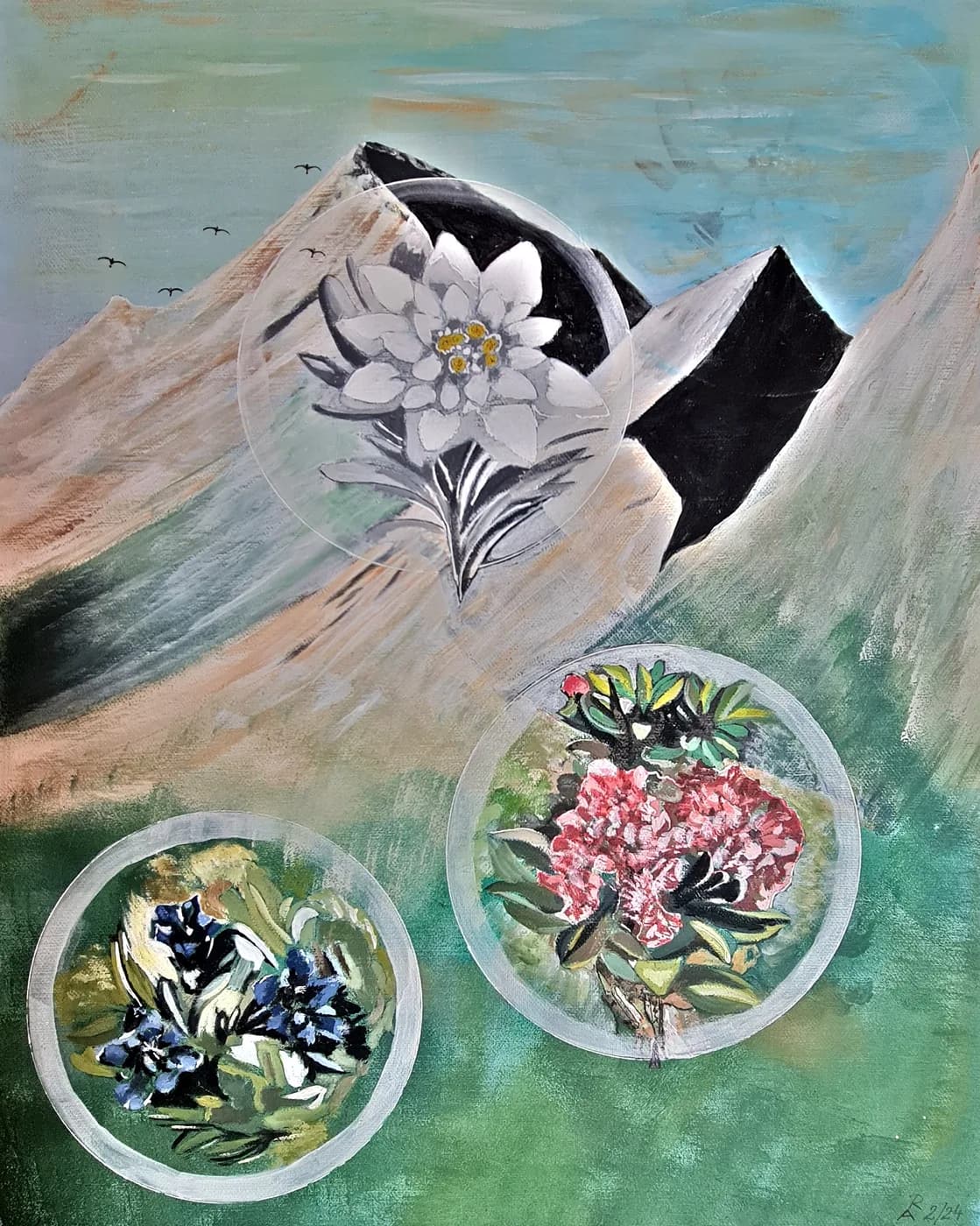 Blüten vor alpinen Gipfeln — Arnold Rauchnagl